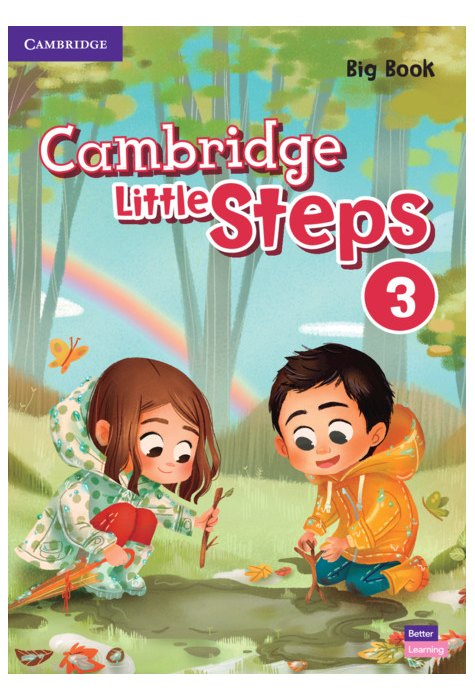 Little Steps Level 3 Big Book