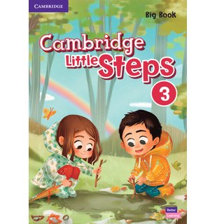 Little Steps Level 3 Big Book