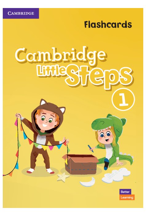 Cambridge Little Steps Level 1 Flashcards