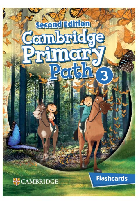 Primary Path 2ed Level 3 Flashcards
